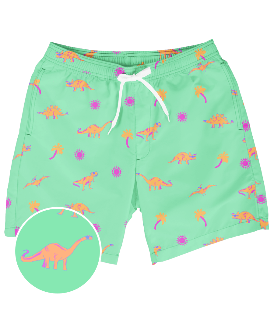 Dino Desert Stretch Swim Trunks