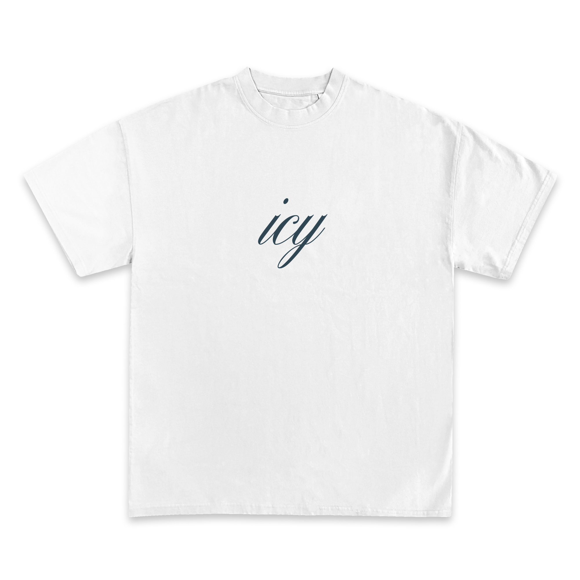 Icy Fullness of Joy T-Shirt