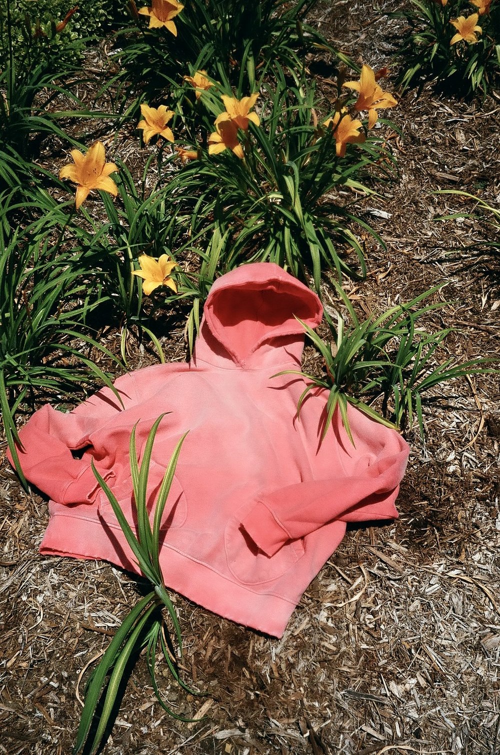 CLASSIC HOODIE 1930 IN AGED CORAL