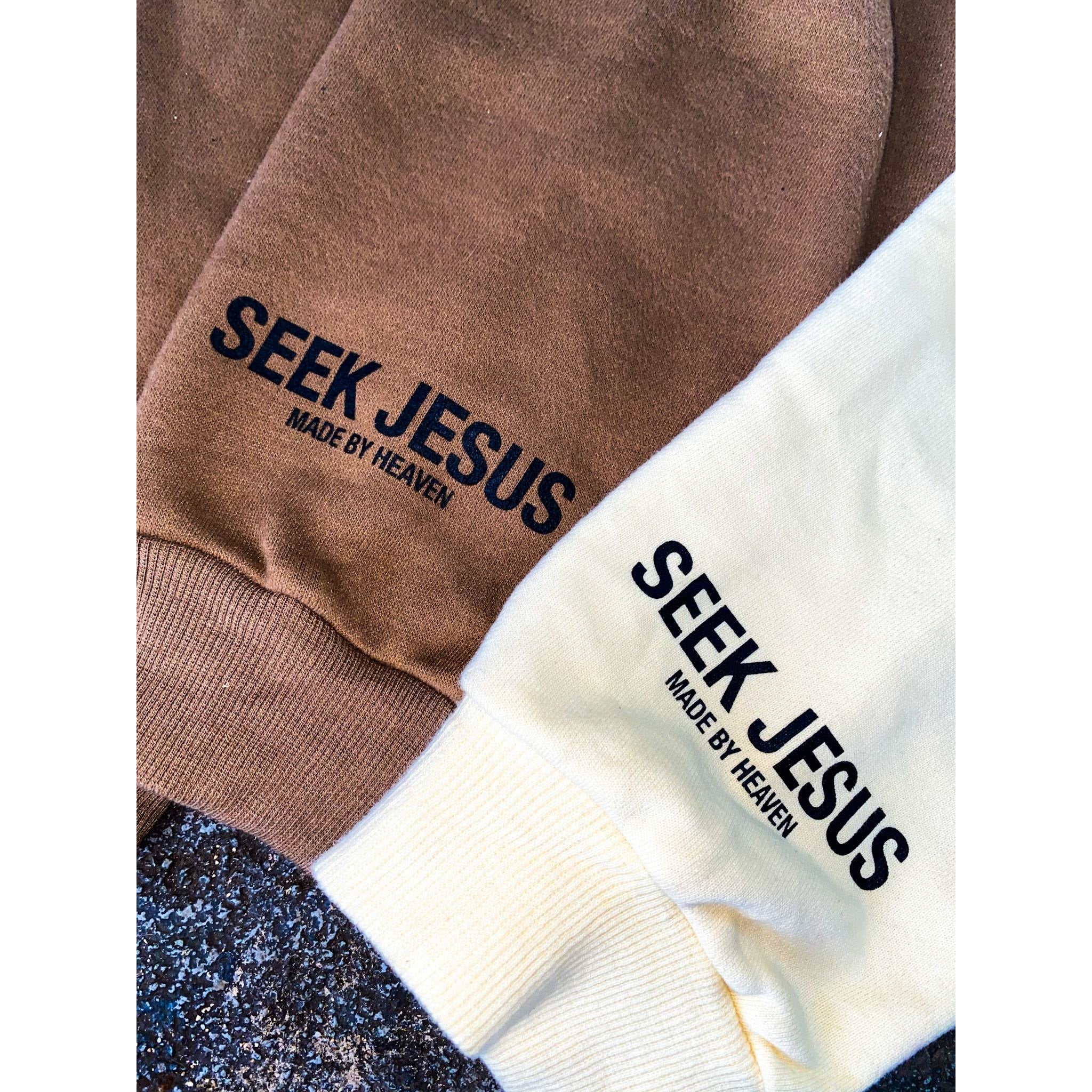 SEEK JESUS - Hoodie